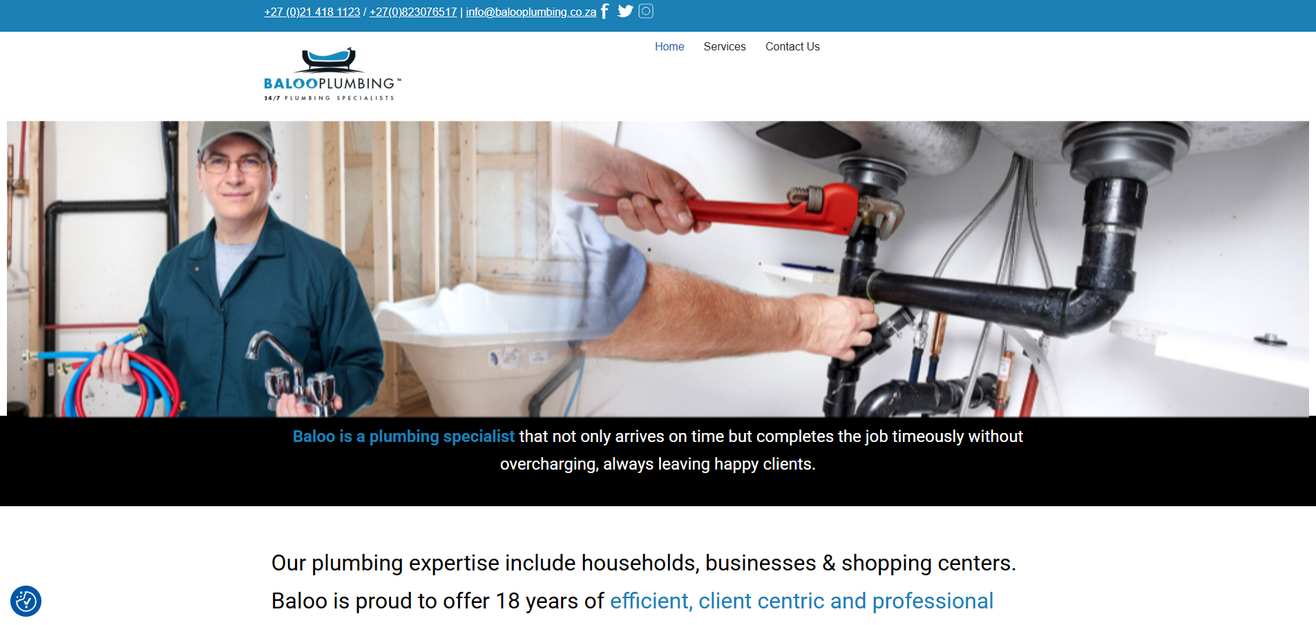 Baloo Plumbing website preview